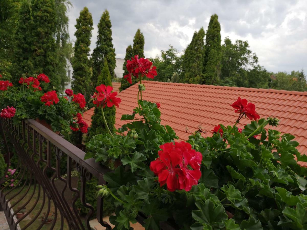 Bed and Breakfast Júlia Panzió Hajdúszoboszló Exterior foto