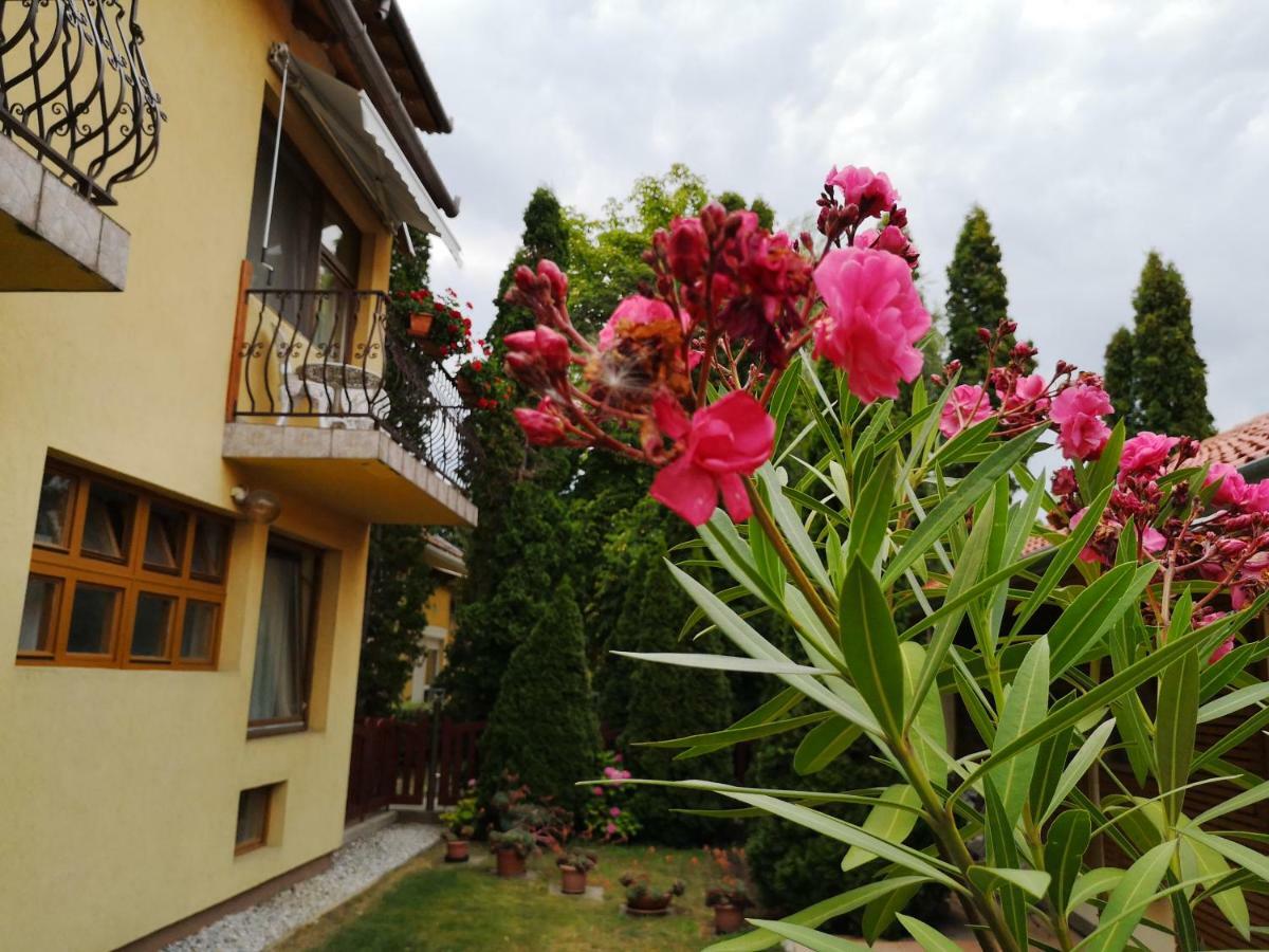 Bed and Breakfast Júlia Panzió Hajdúszoboszló Exterior foto
